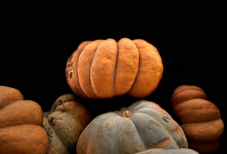 The Role of Convenience in Shaping Food Choices