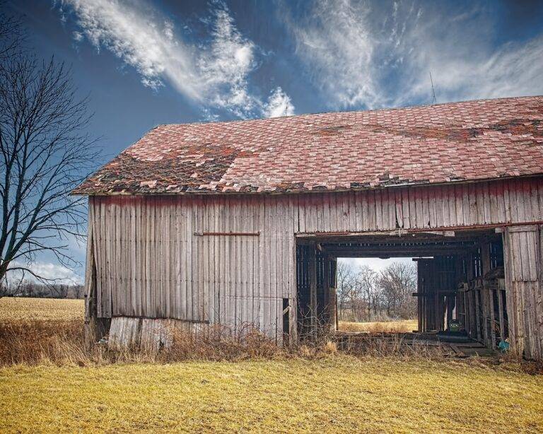 Sustainability and Demolition: A Synergistic Approach: Diamondexch999.com login, Skyexchange sign up, Ready book club login
