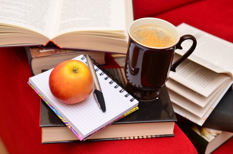 Charter Schools and the Importance of Career Counseling: World7 id, Mahadev betting login, Silver 777 login